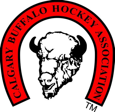 buffalo area aaa